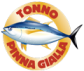 tonno-pinna-gialla-p